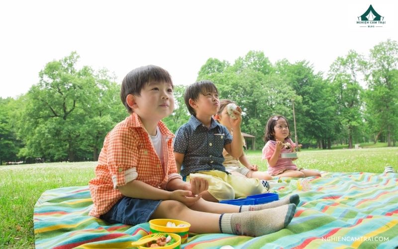 Các hoạt động thú vị, không thể bỏ lỡ khi đi picnic là gì?