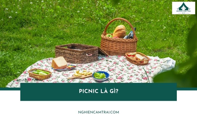 Đi picnic là gì? Bỏ túi bí quyết tổ chức dã ngoại “triệu like”