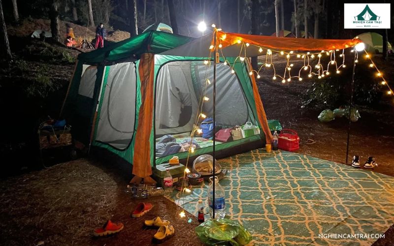 Cắm trại giữa rừng thông tại Trang Thiều