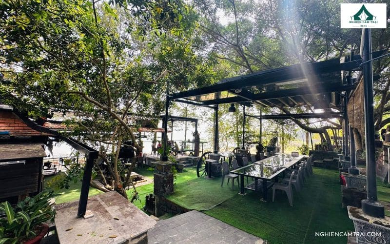 Thư giãn tại khu cafe và cây cảnh