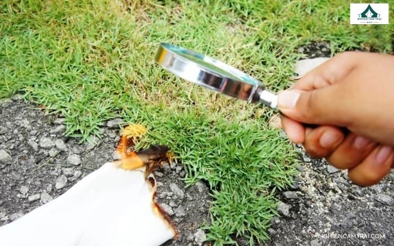 cach tao ra lua bang kinh lup 4