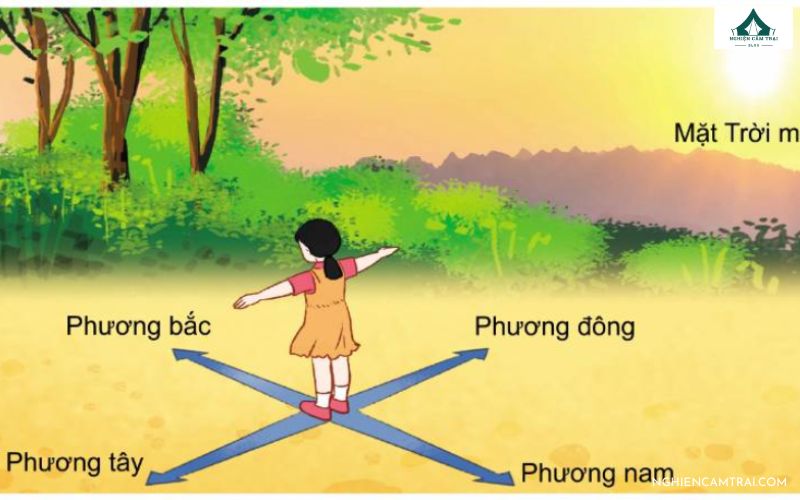 7 cách xác định hướng Đông Tây Nam Bắc chuẩn xác nhất 13 Cách xác định hướng Đông Tây Nam Bắc dựa vào Mặt Trời