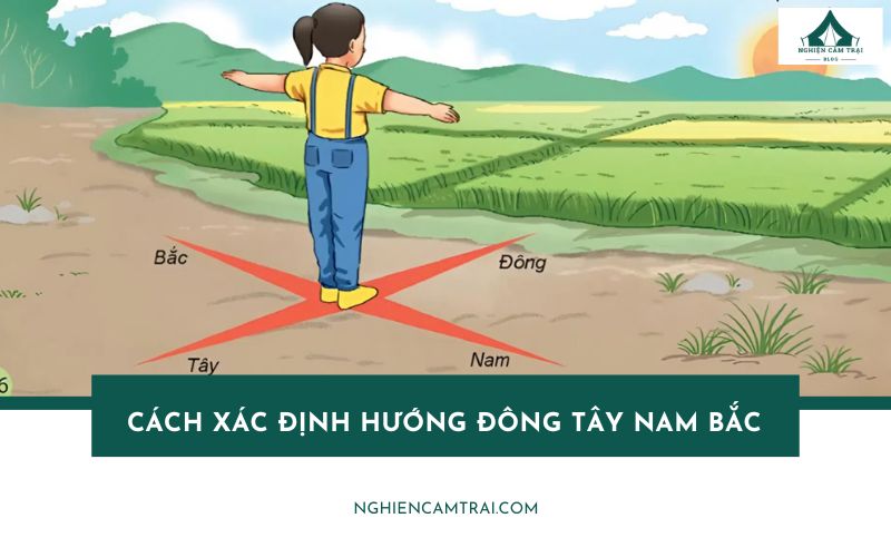 7 cách xác định hướng Đông Tây Nam Bắc chuẩn xác nhất