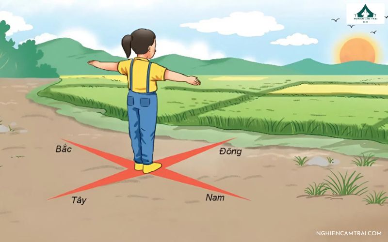 Cách xác định hướng Tây Nam chính xác khi cắm trại ngoài trời 8 hướng tây nam