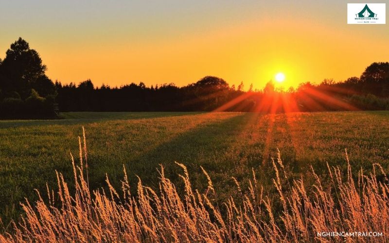 mặt trời mọc hướng Đông