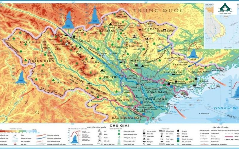 Cách đọc bản đồ địa lý đơn giản và mẹo thực hiện cho người mới 5 Cần nhận biết loại bản đồ khi áp dụng cách đọc bản đồ địa lý