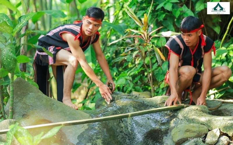 Cách tìm nguồn nước trong rừng nhanh và an toàn 7 Hứng nước mưa từ rừng để sử dụng để đảm bảo an toàn