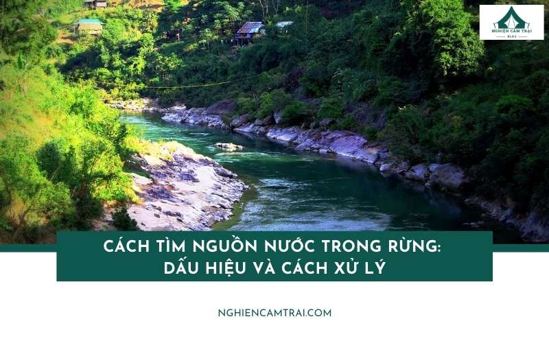 Cách tìm nguồn nước trong rừng nhanh và an toàn