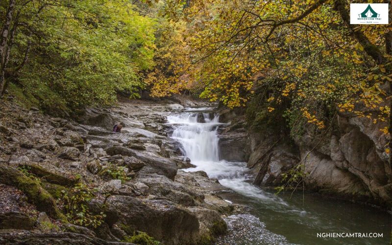 Cách xác định phương hướng khi bị lạc dễ nhớ, dễ áp dụng 10 Xác định phương hướng khi bị lạc dựa vào dòng nước