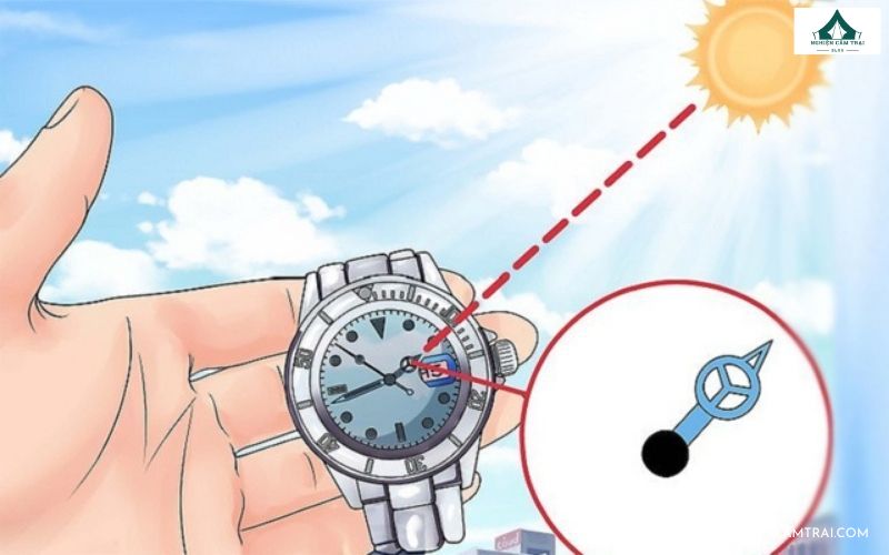 Cách xác định phương hướng khi bị lạc dễ nhớ, dễ áp dụng 11 Xác định phương hướng khi bị lạc dựa vào kim đồng hồ