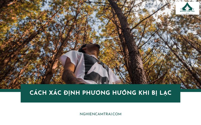 Cách xác định phương hướng khi bị lạc dễ nhớ, dễ áp dụng