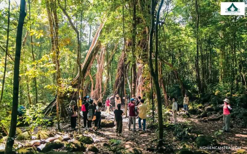 Trekking xuyên rừng Mã Đà