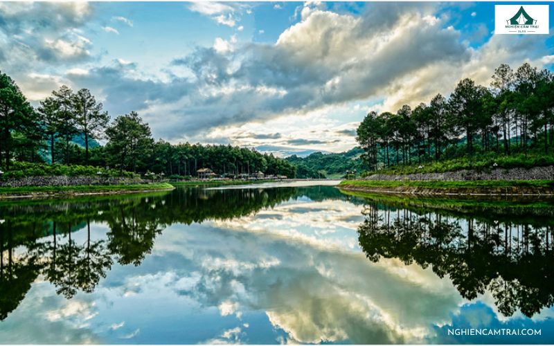 Kinh nghiệm cắm trại rừng thông Bản Áng cho người đi lần đầu 10 khu cắm trại rừng thông Bản Áng