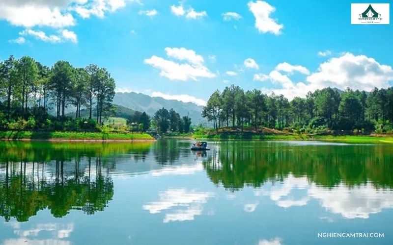 Kinh nghiệm cắm trại rừng thông Bản Áng cho người đi lần đầu 11 Thời điểm lý tưởng để cắm trại tại rừng thông Bản Áng