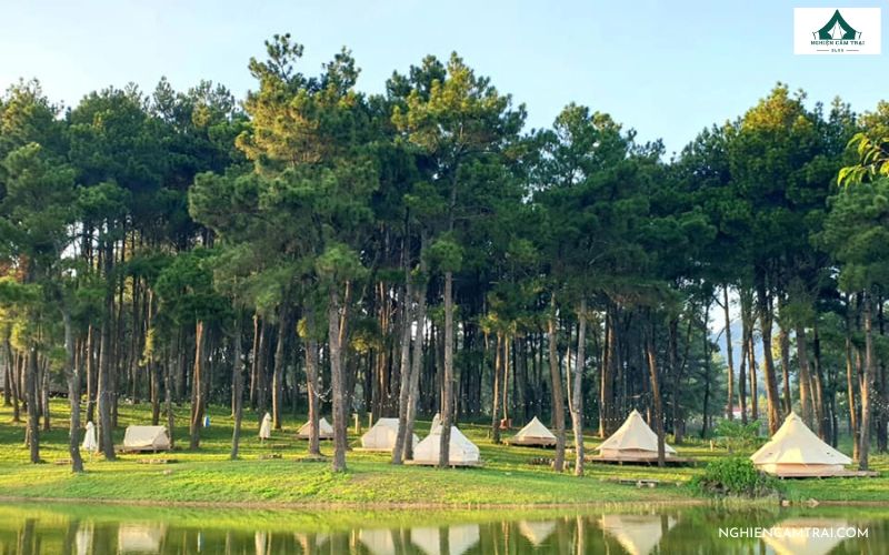 Kinh nghiệm cắm trại rừng thông Bản Áng cho người đi lần đầu 18 Những lưu ý khi cắm trại tại rừng thông Bản Áng