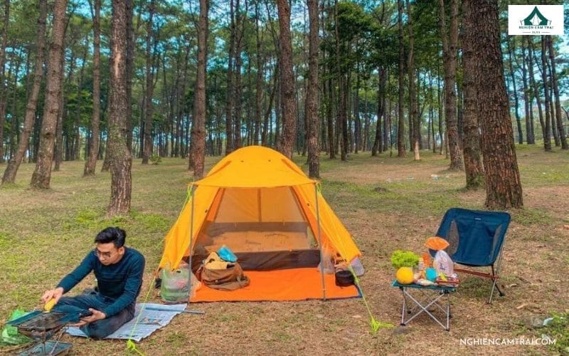 Trải nghiệm cắm trại rừng thông Bồ Bồ: Cực chill & yên bình 10 Tìm hiểu khu cắm trại rừng thông Bồ Bồ
