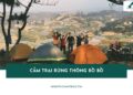 Kinh nghiệm khi cắm trại rừng thông Bồ Bồ Đà Nẵng từ A-Z