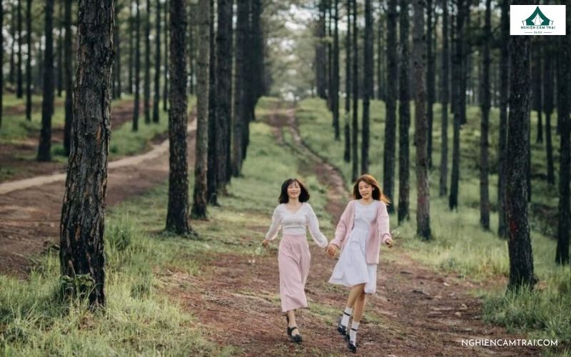 Trải nghiệm cắm trại rừng thông Bồ Bồ: Cực chill & yên bình 12 Hít thở không khí trong lành, tìm về khoảng lặng bình yên