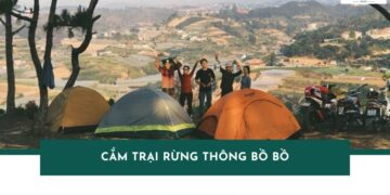 Kinh nghiệm khi cắm trại rừng thông Bồ Bồ Đà Nẵng từ A-Z