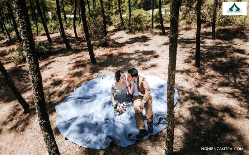 Trải nghiệm cắm trại rừng thông Bồ Bồ: Cực chill & yên bình 16 Chụp ảnh cưới, ảnh kỷ yếu ở rừng thông Bồ Bồ