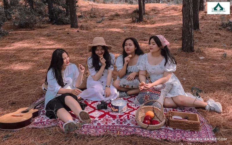 Trải nghiệm cắm trại rừng thông Bồ Bồ: Cực chill & yên bình 18 Kinh nghiệm khi cắm trại ở rừng thông Bồ Bồ