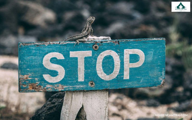 Nguyên tắc STOP khi đi lạc trong rừng