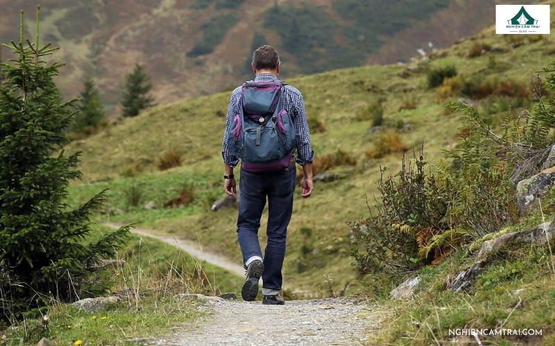 Cách xác định phương hướng khi bị lạc trong rừng