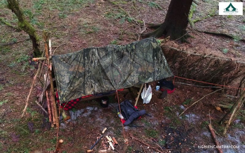 Tìm chỗ có thể trú ngụ an toàn