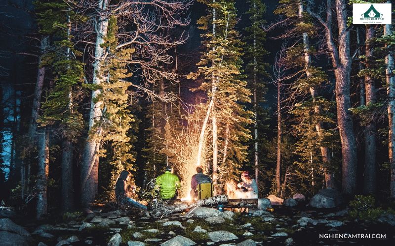 Giữ ấm cơ thể vào ban đêm trong rừng