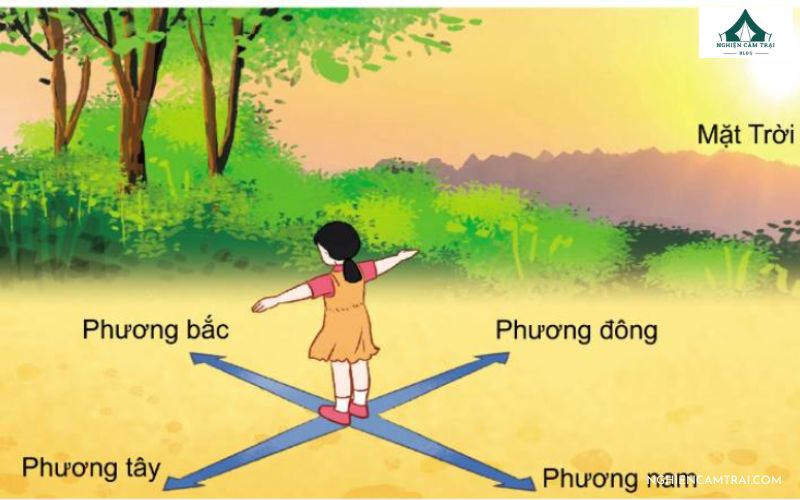 hướng đông bắc