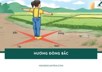 hướng đông bắc