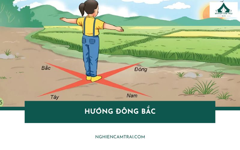 Hướng Đông Bắc là gì? Cách xác định chính xác khi cắm trại