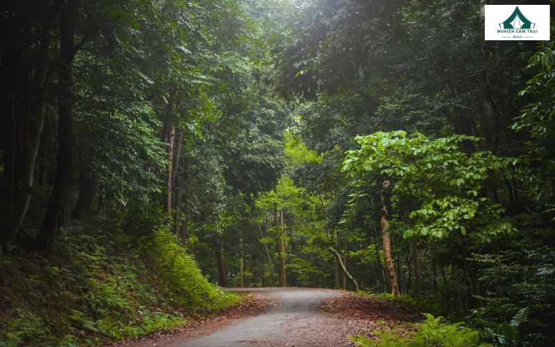 Xác định hướng Nam dựa vào bóng nắng của vật thể xung quanh