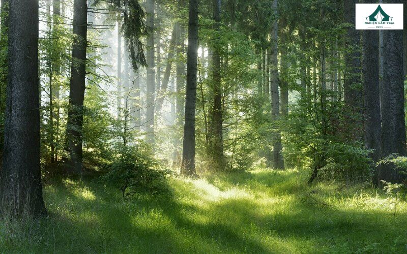 Bạn có thể xác định hướng Tây dựa vào bóng nắng của vật thể