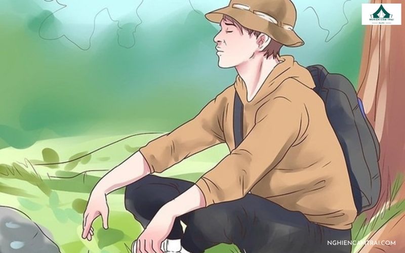 Top 10 kỹ năng sinh tồn trong rừng khi đi lạc mà bạn nên biết 11 kỹ năng sinh tồn trong rừng