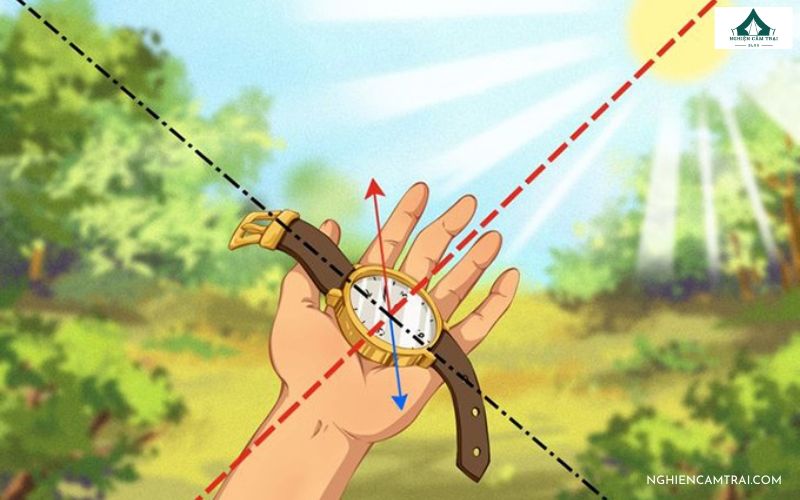 Top 10 kỹ năng sinh tồn trong rừng khi đi lạc mà bạn nên biết 20 kỹ năng sinh tồn trong rừng