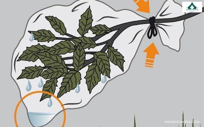 Top 10 kỹ năng sinh tồn trong rừng khi đi lạc mà bạn nên biết 13 kỹ năng sinh tồn trong rừng