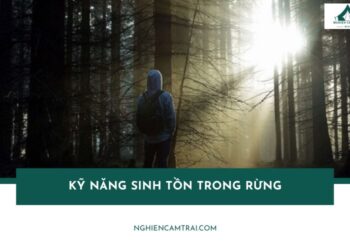 Top 10 kỹ năng sinh tồn trong rừng khi đi lạc mà bạn nên biết 12 kỹ năng sinh tồn trong rừng