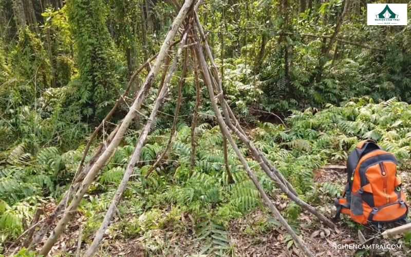 Top 10 kỹ năng sinh tồn trong rừng khi đi lạc mà bạn nên biết 15 kỹ năng sinh tồn trong rừng