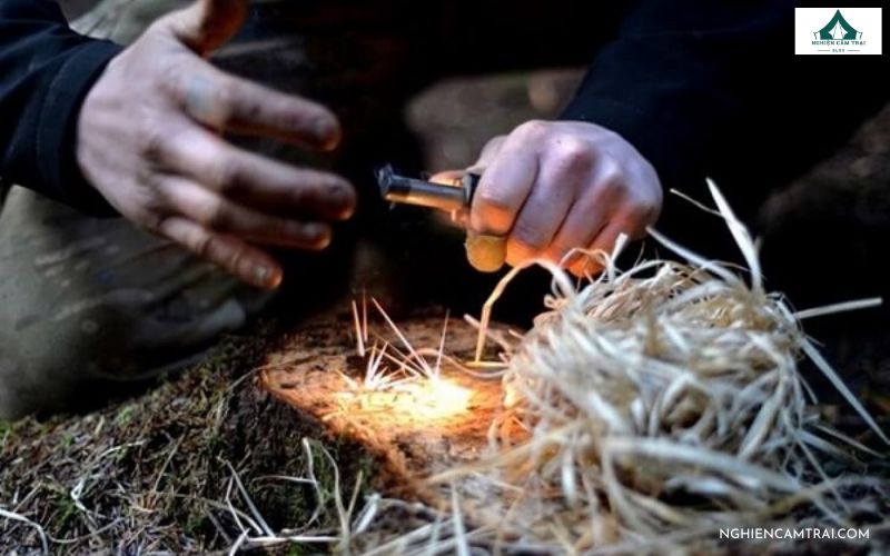 Top 10 kỹ năng sinh tồn trong rừng khi đi lạc mà bạn nên biết 16 kỹ năng sinh tồn trong rừng