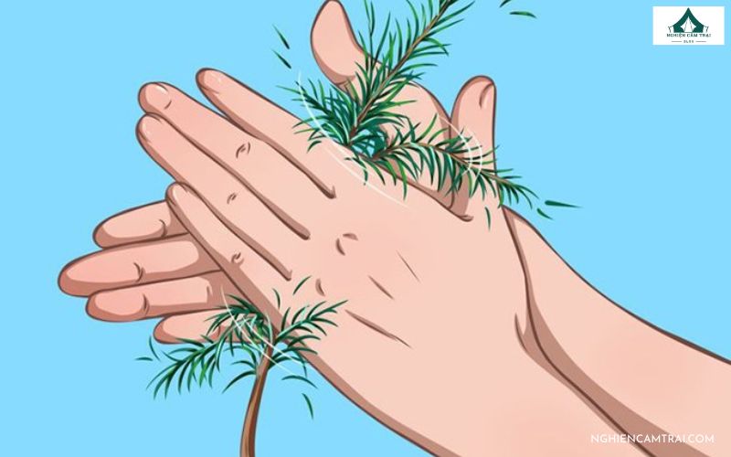 Top 10 kỹ năng sinh tồn trong rừng khi đi lạc mà bạn nên biết 18 kỹ năng sinh tồn trong rừng