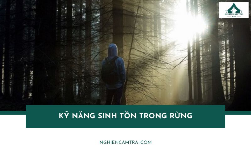 Top 10 kỹ năng sinh tồn trong rừng khi đi lạc mà bạn nên biết