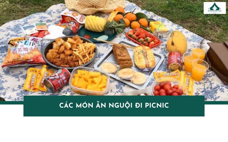 TOP 9 các món ăn nguội đi picnic dễ ăn, dễ bảo quản nhất