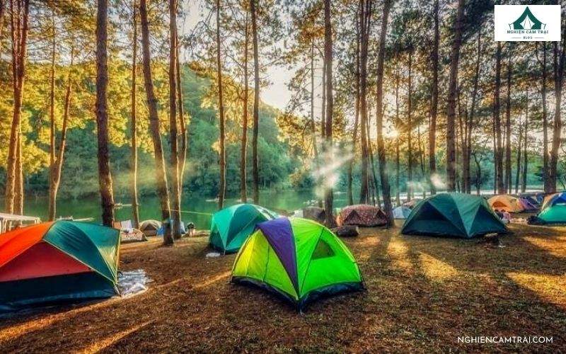 Cắm trại trong rừng thông Măng Đen Kon Tum