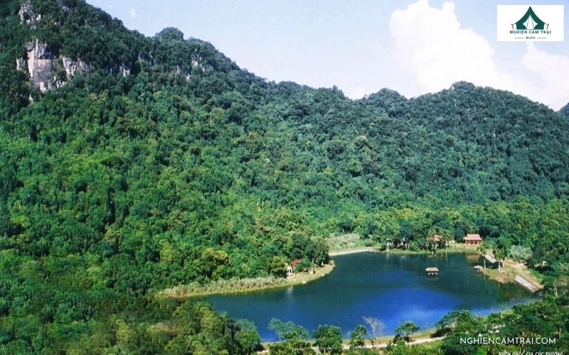 Cắm trại rừng Cúc Phương: Kinh nghiệm, chi phí và lưu ý chi tiết 7 Cắm Trại Rừng Cúc Phương