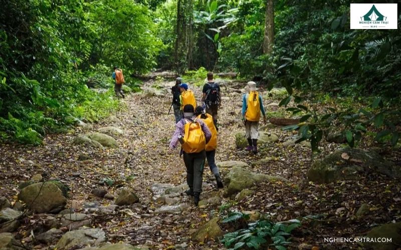 Cắm trại rừng Cúc Phương: Kinh nghiệm, chi phí và lưu ý chi tiết 9 Cắm Trại Rừng Cúc Phương