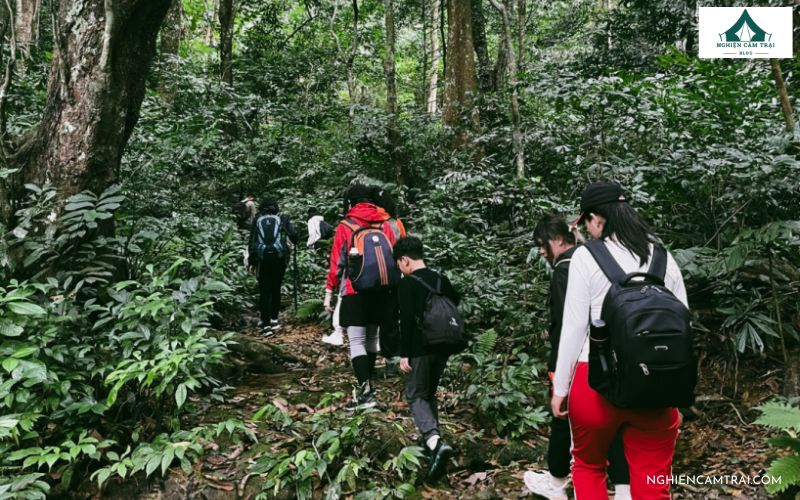 Cắm trại rừng Cúc Phương: Kinh nghiệm, chi phí và lưu ý chi tiết 11 Cắm Trại Rừng Cúc Phương