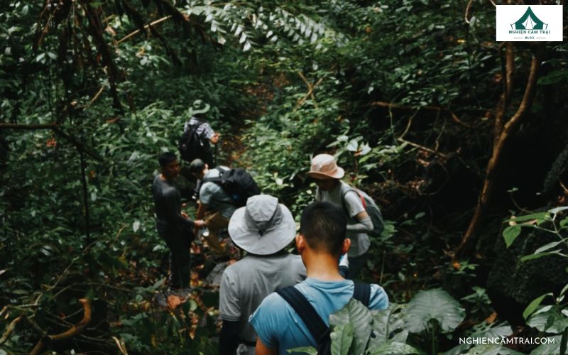 Cắm trại rừng Cúc Phương: Kinh nghiệm, chi phí và lưu ý chi tiết 12 Cắm Trại Rừng Cúc Phương