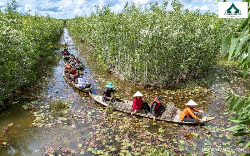 Kinh nghiệm cắm trại rừng U Minh Hạ không phải ai cũng biết 8 Rừng U Minh Hạ nằm ở đâu?