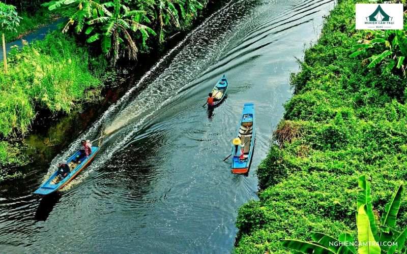 Kinh nghiệm cắm trại rừng U Minh Hạ không phải ai cũng biết 9 Ly do cắm trại rừng U Minh Hạ được nhiều người thích thú